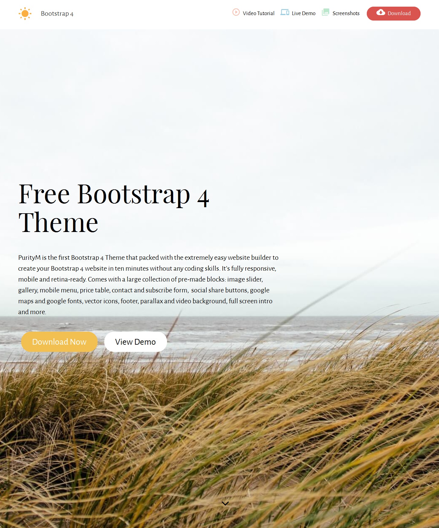Responsive Bootstrap Single Page Theme